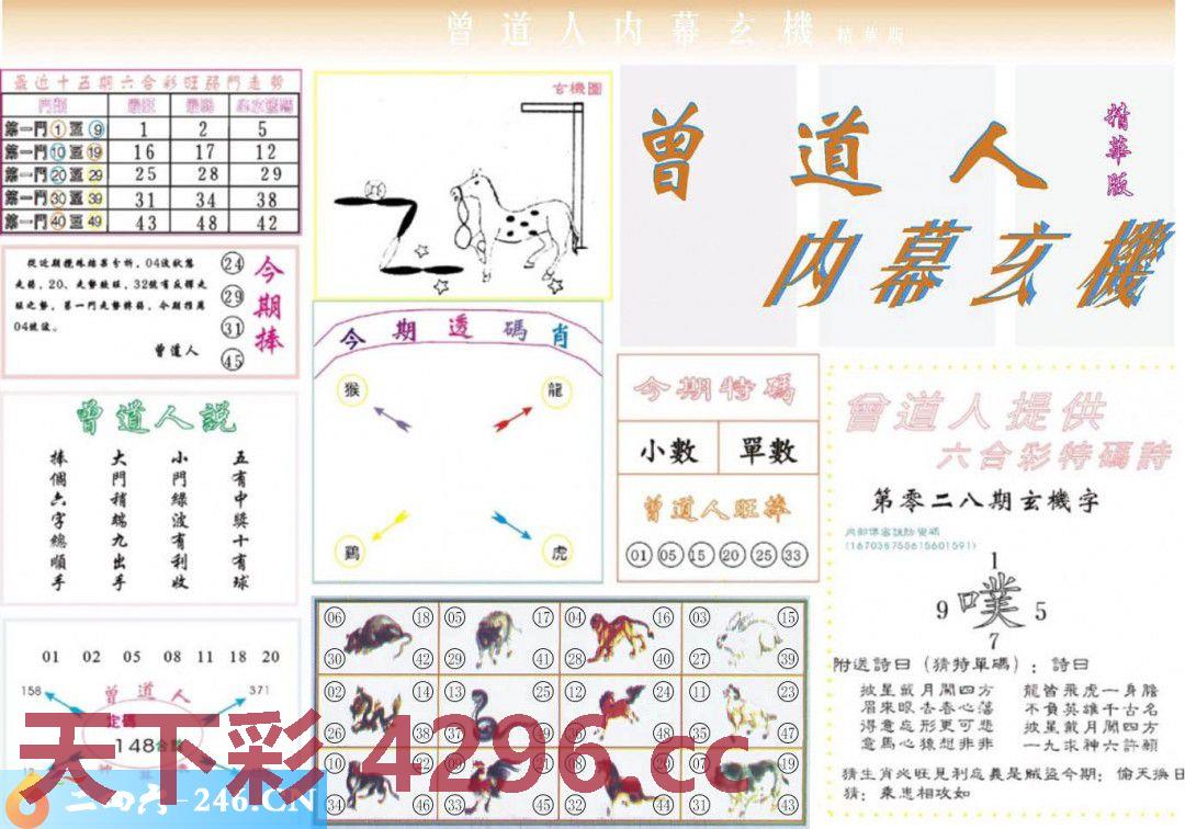 ：曾道人内幕精华版